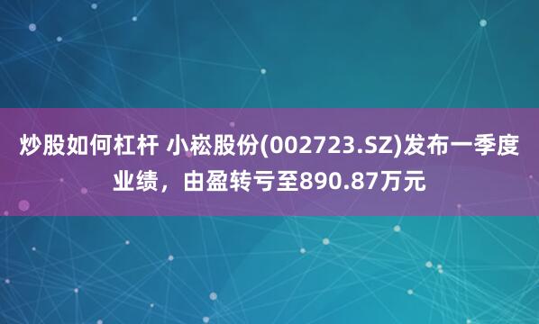 炒股如何杠杆 小崧股份(002723.SZ)发布一季度业绩，由盈转亏至890.87万元