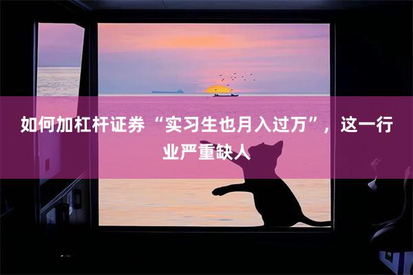 如何加杠杆证券 “实习生也月入过万”，这一行业严重缺人
