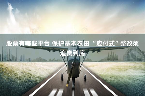 股票有哪些平台 保护基本农田 “应付式”整改须追责到底