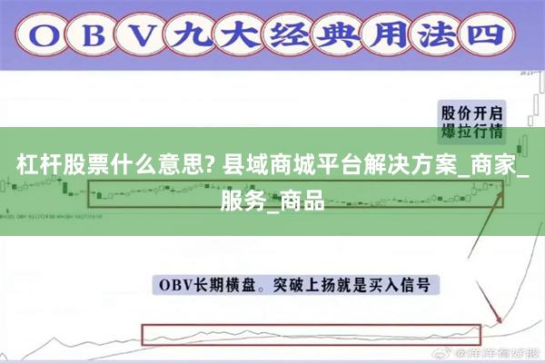 杠杆股票什么意思? 县域商城平台解决方案_商家_服务_商品